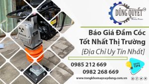 Báo Giá Đầm Cóc Tốt Nhất Thị Trường [Địa Chỉ Uy Tín Nhất]